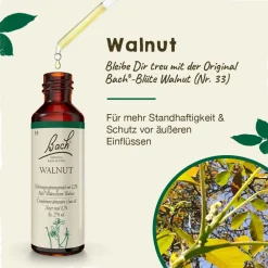 BACH®-BLÜTEN Winterblues Set| Discount