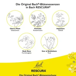 Bach® RESCURA™ Original Tropfen alkoholfrei><noscript><img width=