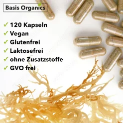 Basis Organics® Sea Moss Kapseln aus der Alge Irish Moss><noscript><img width=