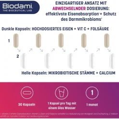 Biodami Ferro Fatigue Redux: Eisen + Vit C + mikrobiotische Stämme bei Müdigkeit><noscript><img width=
