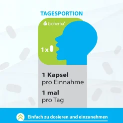 Bioherba Folsäure (Vitamin B9) Kapseln><noscript><img width=