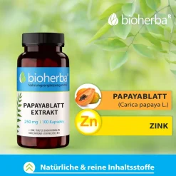 Bioherba Papayablatt Extrakt Kapseln|