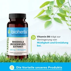 Bioherba Rhodiola (Rosenwurz) Extrakt Kapseln| Online