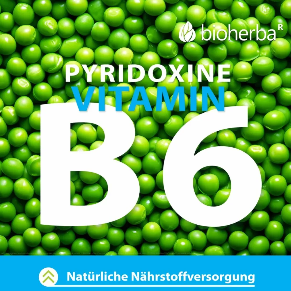 Bioherba Rhodiola (Rosenwurz) Extrakt Kapseln| Online
