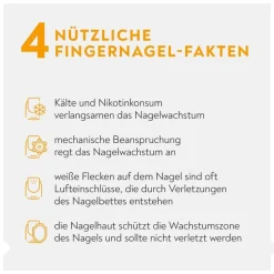 Regenerierende Nagelcreme><noscript><img width=