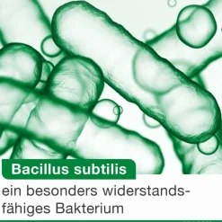 bioticLoges subtilis – 3-fach clever mit Bacillus subtilis, Akazienfasern und Calcium zur natürlichen Unterstützung des Darms| Sale