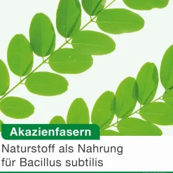 bioticLoges subtilis – 3-fach clever mit Bacillus subtilis, Akazienfasern und Calcium zur natürlichen Unterstützung des Darms| Sale