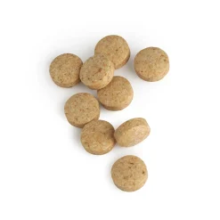 BIOTICS® RESEARCH NAC Plus>