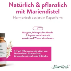 BitterKraft! Leber-Komplex><noscript><img width=