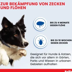 Bolfo Floh- und Zeckenschutzband für Katzen und kleine Hunde, wirkt bis zu 4 Monate gegen Flöhe und bis zu 10 Wochen gegen Zecken, Länge ca. 35 cm><noscript><img width=