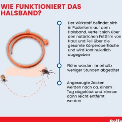Bolfo Floh- und Zeckenschutzband für Katzen und kleine Hunde, wirkt bis zu 4 Monate gegen Flöhe und bis zu 10 Wochen gegen Zecken, Länge ca. 35 cm><noscript><img width=