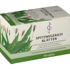 Spitzwegerich Blätter><noscript><img width=