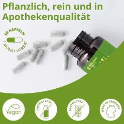 Botanical Health Rejuval Anti-Age mit NAM und Resveratrol><noscript><img width=