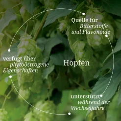 Bärbel Drexel Wechseljahre mit Hopfen und Vitamin B6 Presslinge><noscript><img width=