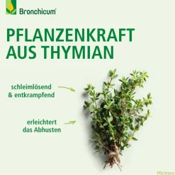 Thymian Hustensaft - Pflanzlicher Hustenlöser geeignet für Säuglinge|Bronchicum Clearance