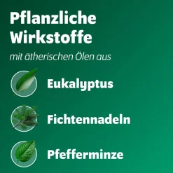 Bronchoforton® Salbe – Erkältungssalbe mit rein pflanzlichen Wirkstoffen. Löst zähen Schleim, erleichtert das Abhusten; mit Eukalyptus-, Fichtennadel- und Pfefferminzöl><noscript><img width=