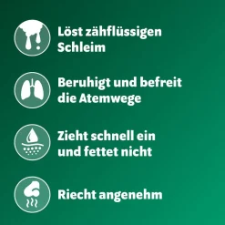 Bronchoforton® Salbe – Erkältungssalbe mit rein pflanzlichen Wirkstoffen. Löst zähen Schleim, erleichtert das Abhusten; mit Eukalyptus-, Fichtennadel- und Pfefferminzöl><noscript><img width=