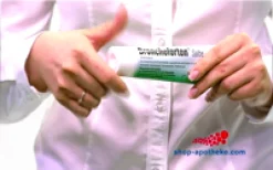 Bronchoforton® Salbe – Erkältungssalbe mit rein pflanzlichen Wirkstoffen. Löst zähen Schleim, erleichtert das Abhusten; mit Eukalyptus-, Fichtennadel- und Pfefferminzöl><noscript><img width=