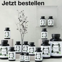 Calcium Tabletten (365 Stück) mit 800 mg pro Tagesdosis - 100% Vegan & ohne Zusätze - Kalzium><noscript><img width=