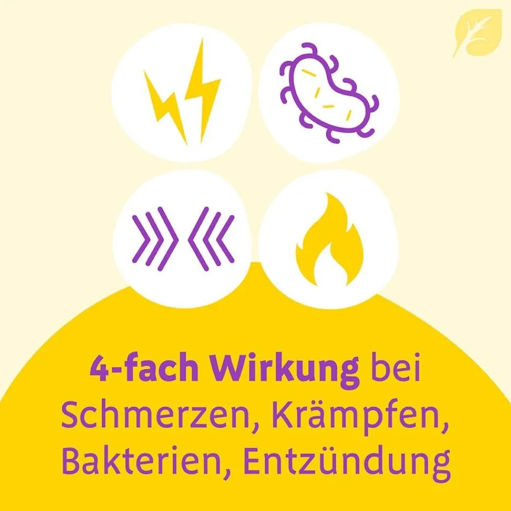 ® Uno bei Blasenentzündung – mit 4-fach Wirkung|Canephron Hot