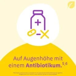 ® Uno bei Blasenentzündung – mit 4-fach Wirkung|Canephron Hot