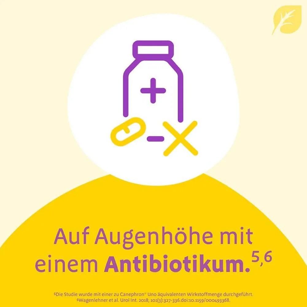 ® Uno bei Blasenentzündung – mit 4-fach Wirkung|Canephron Hot