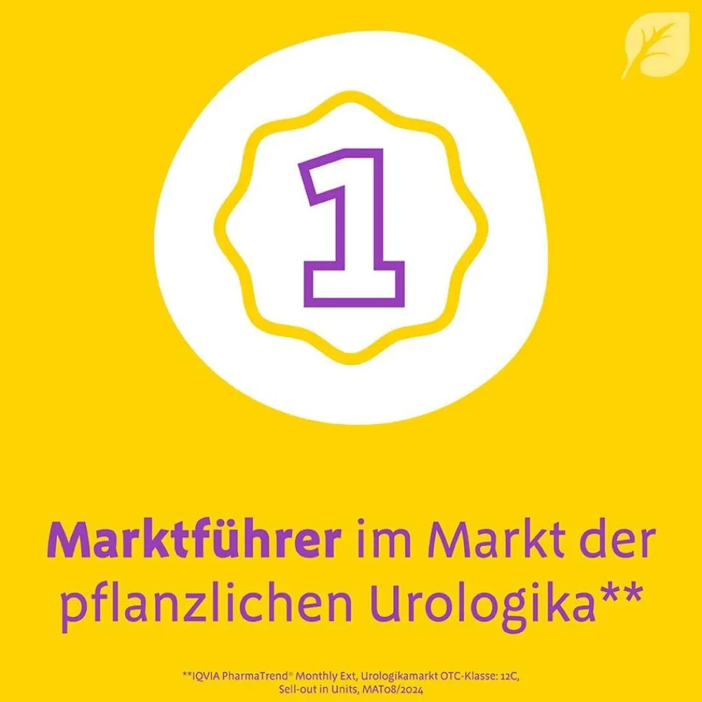 ® Uno bei Blasenentzündung – mit 4-fach Wirkung|Canephron Hot