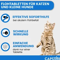 Capstar Tabletten gegen Flöhe für Katzen und kleine Hunde bis 11 kg, 6 Tabletten in einer Packung><noscript><img width=