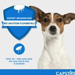 Capstar Tabletten gegen Flöhe für Katzen und kleine Hunde bis 11 kg, 6 Tabletten in einer Packung><noscript><img width=