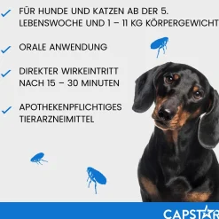 Capstar Tabletten gegen Flöhe für Katzen und kleine Hunde bis 11 kg, 6 Tabletten in einer Packung><noscript><img width=