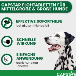Capstar Tabletten gegen Flöhe für große Hunde von 11 bis 57 kg, 6 Tabletten in einer Packung><noscript><img width=