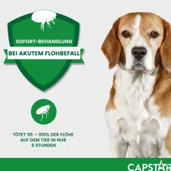 Capstar Tabletten gegen Flöhe für große Hunde von 11 bis 57 kg, 6 Tabletten in einer Packung><noscript><img width=