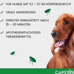 Capstar Tabletten gegen Flöhe für große Hunde von 11 bis 57 kg, 6 Tabletten in einer Packung><noscript><img width=