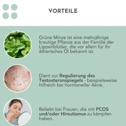 Bio Grüne Minze Tee Pyramidenteebeutel|CARI NUTRITION