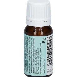 CBD Hanf Xylit Kügelchen mit frischer Bio Minze><noscript><img width=