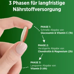 Vital+ Knochen, Knorpel & Muskeln, - Jetzt 20% mit dem Code Vitamine20 sparen*|Centrum Outlet