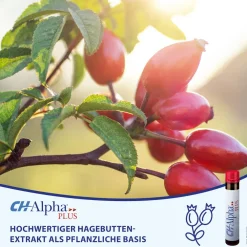 PLUS Gelenk Kollagen Trinkampullen für gesunde Gelenke und Knorpel mit Hagebuttenextrakt und Vitamin C|CH-Alpha Sale