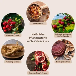 balance Wellness Kaffee mit Akazienfaser Guarana Reishi-Pilz Ginseng><noscript><img width=