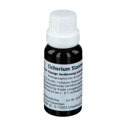 Cichorium Stanno cultum Rh D3><noscript><img width=