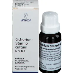 Cichorium Stanno cultum Rh D3><noscript><img width=