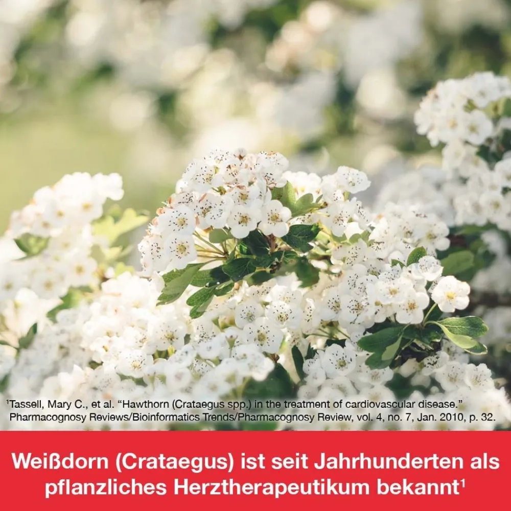 cratae-Loges® 450 mg Weißdorn| Online