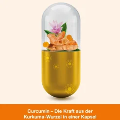 curcumin-Loges – hoch bioverfügbare Kurkuma-Kapseln| Hot