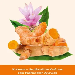 curcumin-Loges – hoch bioverfügbare Kurkuma-Kapseln| Hot