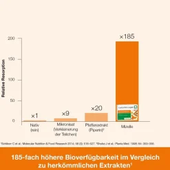 curcumin-Loges – hoch bioverfügbare Kurkuma-Kapseln| Hot