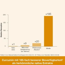 curcumin-Loges plus Boswellia - hoch bioverfügbare Kurkuma-Kapseln plus Weihrauch><noscript><img width=