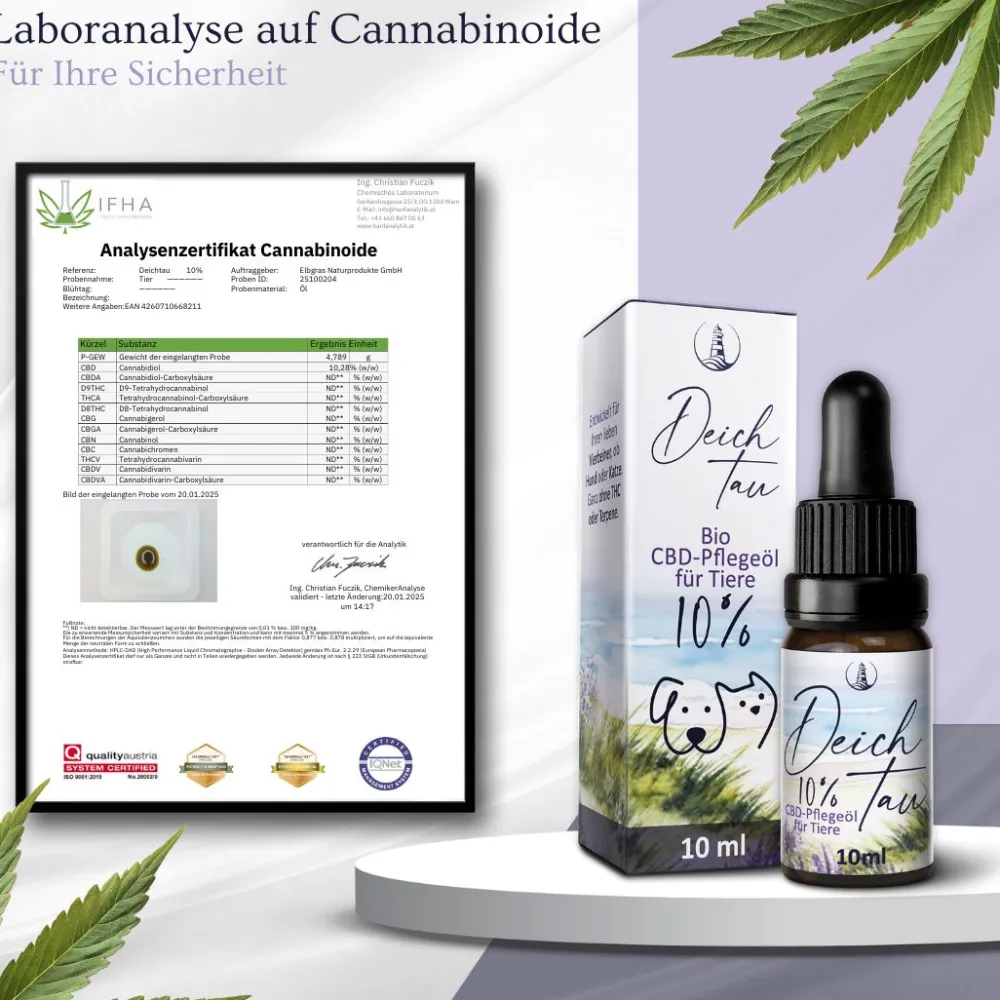 Deichtau Bio CBD Öl 10% für Hund & Katze - CBD-Hanföl-Tropfen – Echtes Cannabisöl - Deutsche Marke| Hot