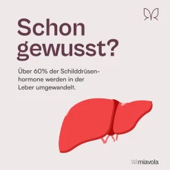 Der Umwandler® Leber-Komplex von miavola><noscript><img width=