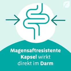 Digestopret® bei Darmbeschwerden – mit hochdosiertem Pfefferminzöl><noscript><img width=