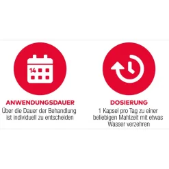 D3 + K2  Vit AL 1000 I.E. / 80 µg Kapseln: ein starkes Duo für die Knochen><noscript><img width=
