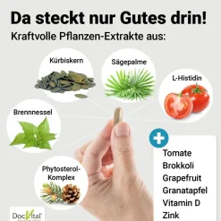 DocVital® Prostata Komplex Kapseln - Sägepalmenextrakt, Kürbiskernextrakt, Zink, Vitamin D3 & mehr><noscript><img width=